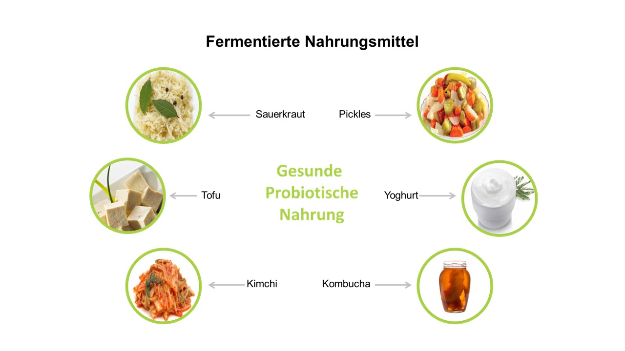 Fermentierte-NahrungsmitteljZ8OLPeTgQGtO